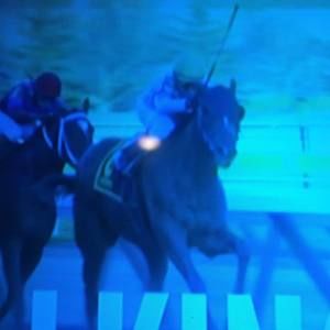 Meet your Posher, Darrin